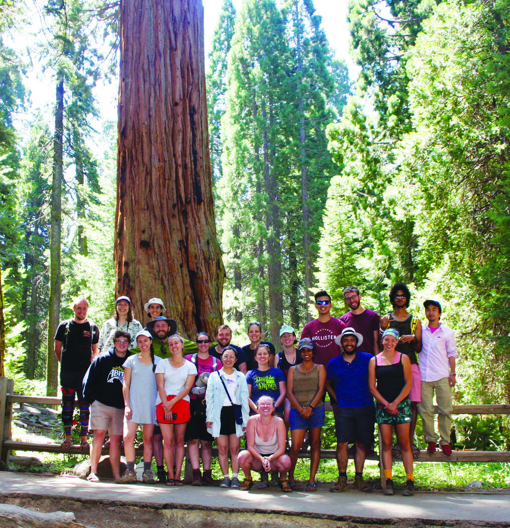 group photo of EPS graduate students on camping field trip, summer 2018, standing amidst giant redwood trees